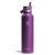 Beachplum Purple